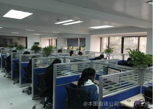 洞察市场脉搏 浙江嘉辉经济信息咨询的价值之路